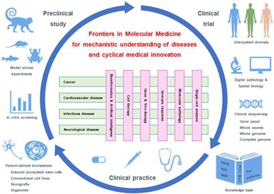 Grand Challenges in Molecular Medicine for Disease Prevention and Treatment Through Cyclical Innovation